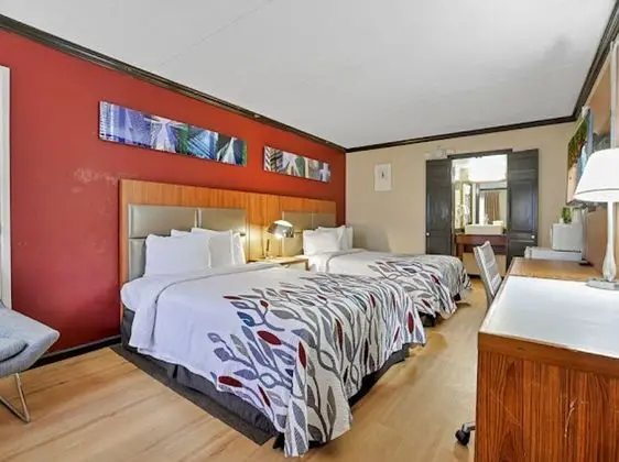 Deluxe Oda, 2 Çift Kişilik Yatak, Sigara İçilmez