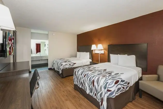Deluxe Oda, 2 Çift Kişilik Yatak, Sigara İçilmez