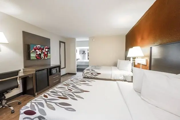 Deluxe Oda, 2 Çift Kişilik Yatak, Sigara İçilmez