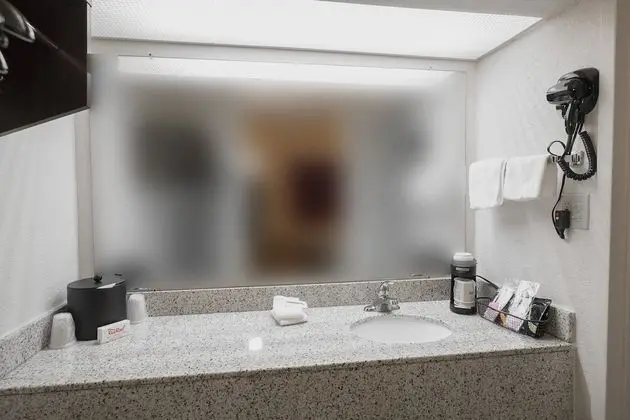Deluxe Oda, 2 Çift Kişilik Yatak, Sigara İçilmez