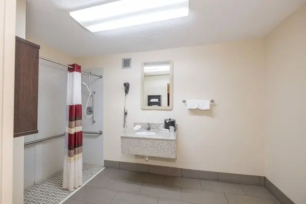 Standard Oda, 2 Çift Kişilik Yatak, Sigara İçilmez (Roll-In Shower)