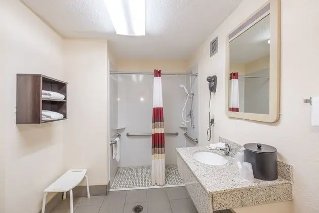 Standard Oda, 2 Çift Kişilik Yatak, Sigara İçilmez (Roll-In Shower)