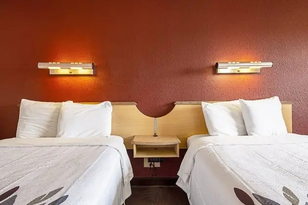 Deluxe Oda, 2 Çift Kişilik Yatak (Smoke Free)