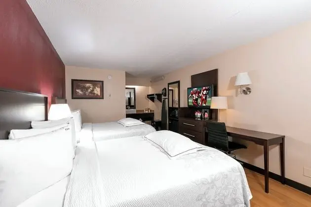 Premium Oda, 2 Çift Kişilik Yatak (Upgraded Bedding & Snack, Smoke Free)