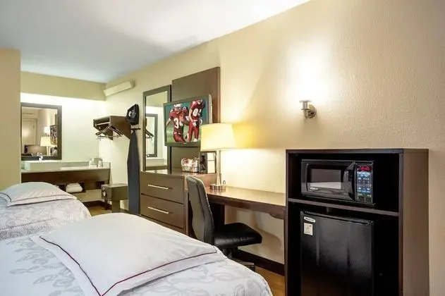 Premium Oda, 2 Çift Kişilik Yatak (Upgraded Bedding & Snack, Smoke Free)