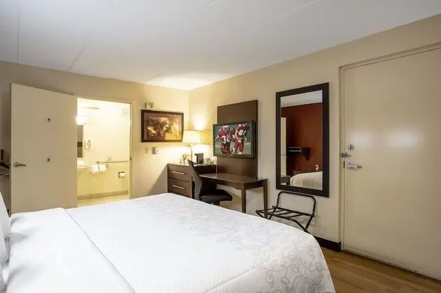 Standard Oda, 1 En Büyük (King) Boy Yatak, Engellilere Uygun (Roll-In Shower, Smoke Free)