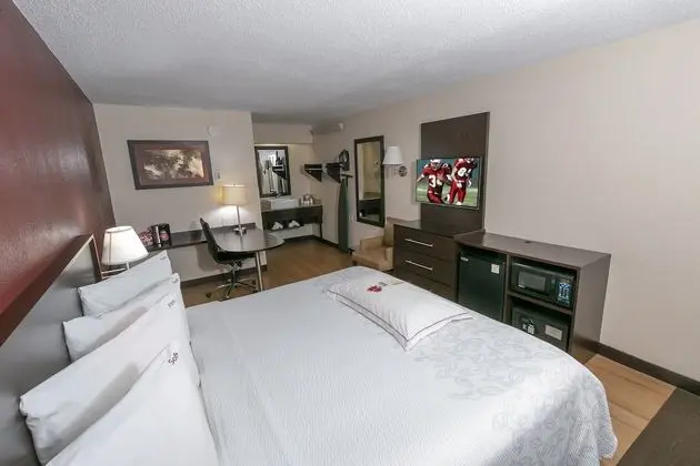 Premium Oda, 1 En Büyük (King) Boy Yatak, Engellilere Uygun (Upgraded Bedding & Snack Smoke Free)