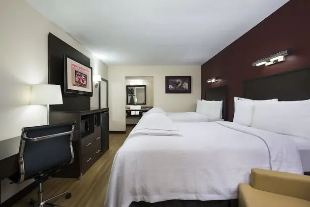 Premium Oda, 2 Çift Kişilik Yatak (Upgraded Bedding & Snack, Smoke Free)