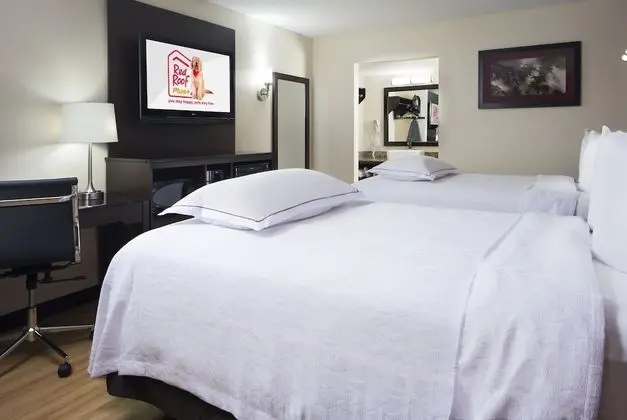Premium Oda, 2 Çift Kişilik Yatak (Upgraded Bedding & Snack, Smoke Free)
