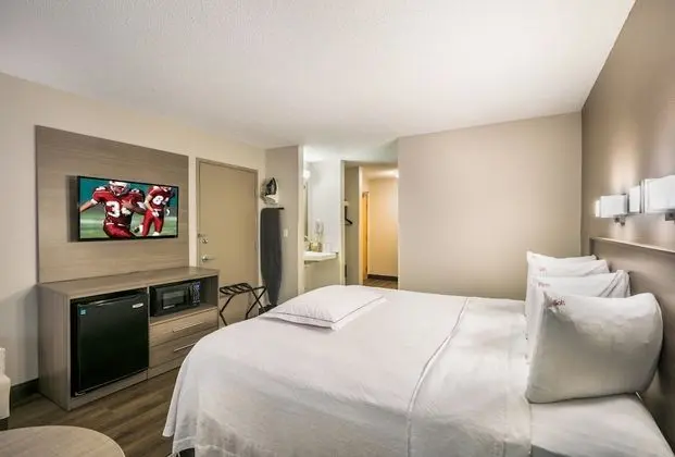 Premium Oda, 1 En Büyük (King) Boy Yatak (Upgraded Bedding & Snack, Smoke Free)