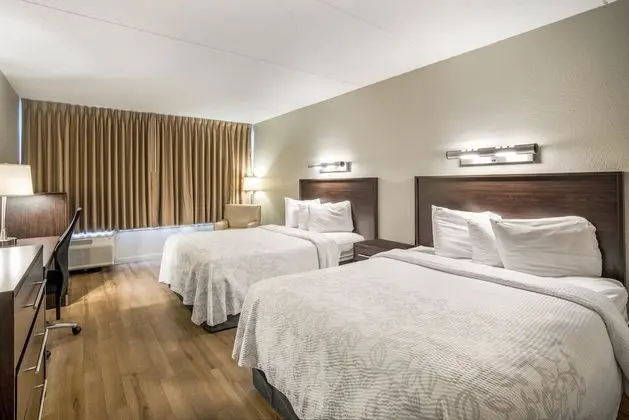 Deluxe Oda, 2 Çift Kişilik Yatak (Smoke Free)