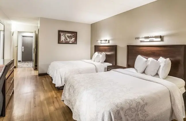 Premium Oda, 2 Çift Kişilik Yatak (Upgraded Bedding & Snack, Smoke Free)