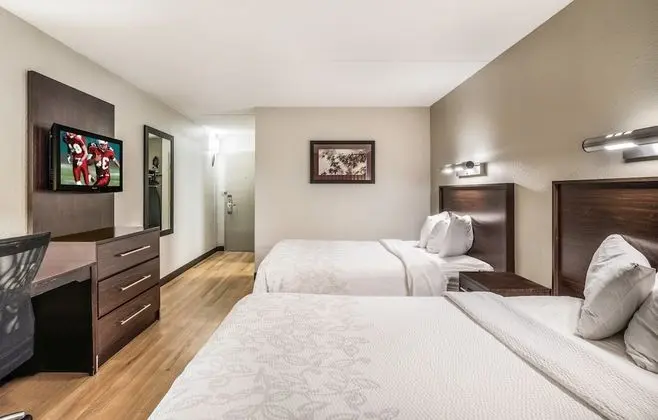 Premium Oda, 2 Çift Kişilik Yatak (Upgraded Bedding & Snack, Smoke Free)