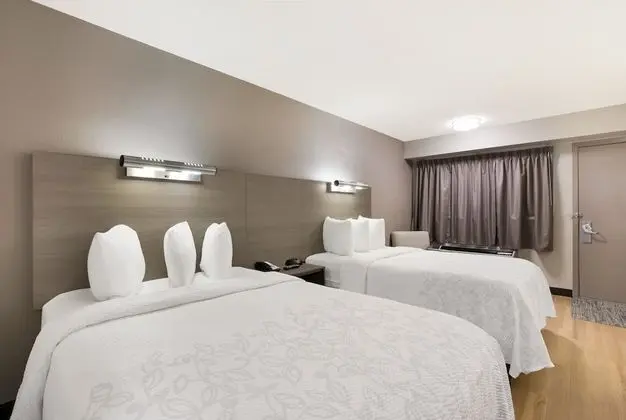 Deluxe Oda, 2 Çift Kişilik Yatak (Smoke Free)