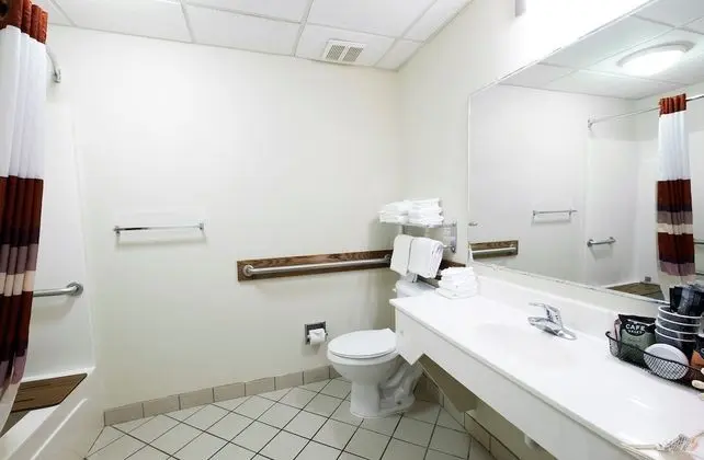 Deluxe Oda, 1 En Büyük (King) Boy Yatak, Engellilere Uygun, Sigara İçilmez