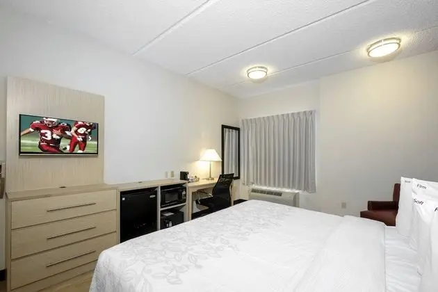 Deluxe Oda, 1 En Büyük (King) Boy Yatak, Engellilere Uygun (Roll-In Shower, Smoke Free)