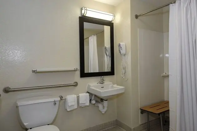 Deluxe Oda, 1 En Büyük (King) Boy Yatak, Engellilere Uygun (Roll-In Shower, Smoke Free)