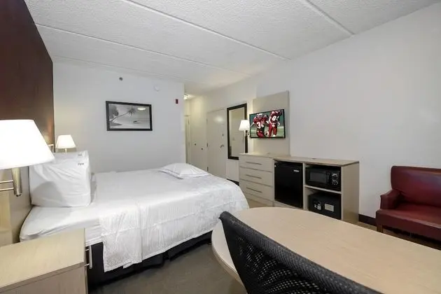Premium Oda, 1 En Büyük (King) Boy Yatak, Engellilere Uygun (Upgraded Bedding & Snack, Smoke Free)