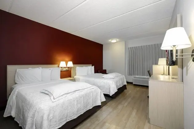 Premium Oda, 2 Çift Kişilik Yatak (Upgraded Bedding & Snack, Smoke Free)