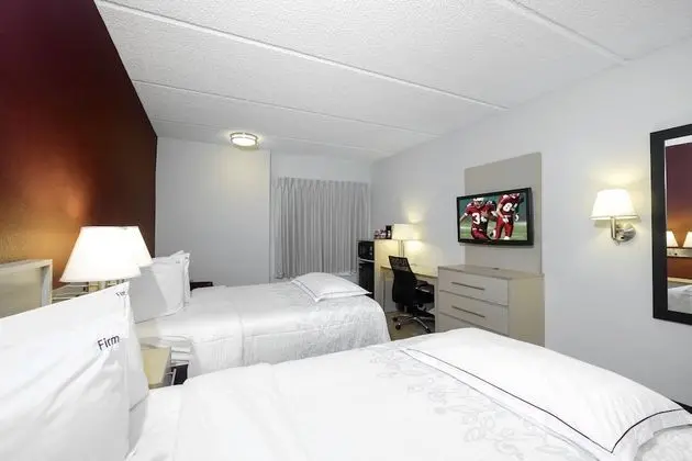 Premium Oda, 2 Çift Kişilik Yatak (Upgraded Bedding & Snack, Smoke Free)