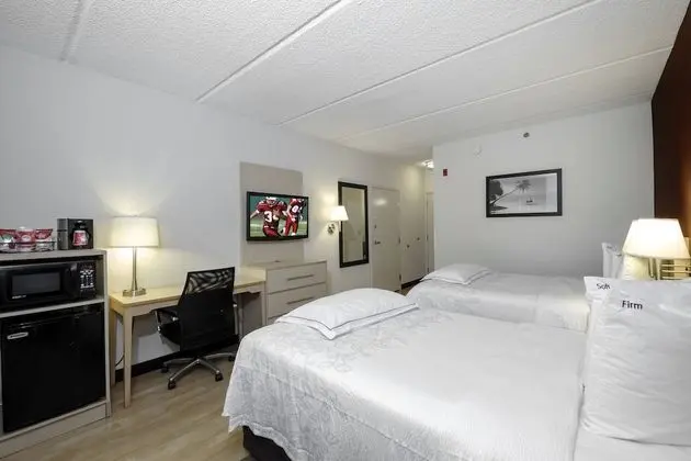 Premium Oda, 2 Çift Kişilik Yatak (Upgraded Bedding & Snack, Smoke Free)