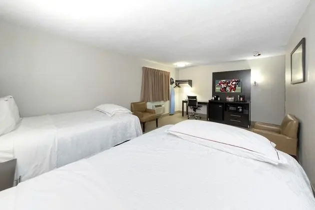 Premium Oda, 2 Çift Kişilik Yatak (Upgraded Bedding & Snack, First Floor)