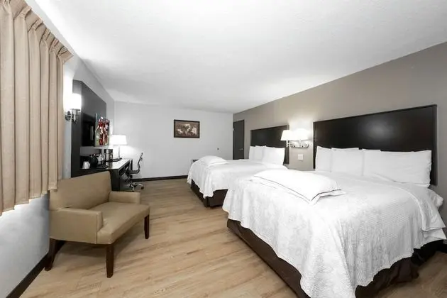 Premium Oda, 2 Çift Kişilik Yatak (Upgraded Bedding & Snack, Smoke Free)