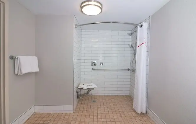 Superior Oda, 1 En Büyük (King) Boy Yatak (Accessible,Smoke Free, Roll-In Shower)