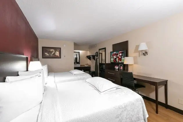 Premium Oda, 2 Çift Kişilik Yatak (Upgraded Bedding & Snack, Smoke Free)
