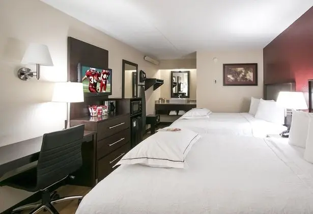 Premium Oda, 2 Çift Kişilik Yatak (Upgraded Bedding & Snack, Smoke Free)