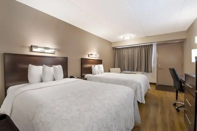 Deluxe Oda, 2 Çift Kişilik Yatak (Smoke Free)