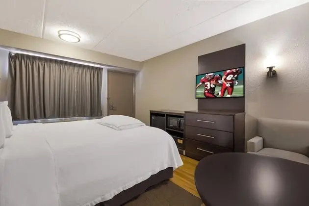 Premium Oda, 1 En Büyük (King) Boy Yatak (Upgraded Bedding & Snack, Smoke Free)