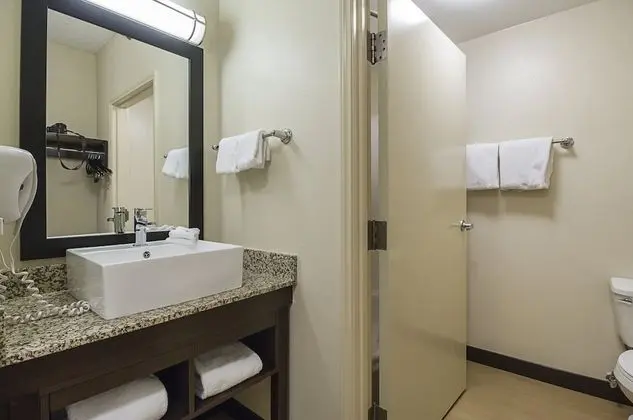 Premium Oda, 2 Çift Kişilik Yatak (Upgraded Bedding & Snack, Smoke Free)
