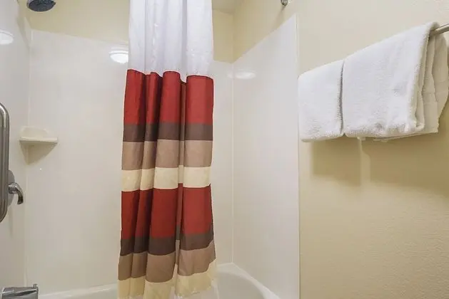Premium Oda, 2 Çift Kişilik Yatak (Upgraded Bedding & Snack, Smoke Free)