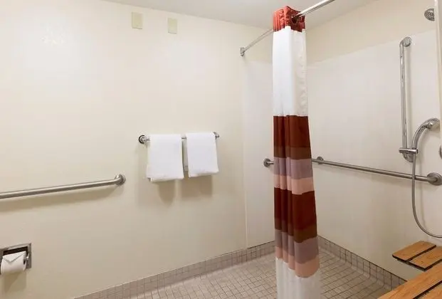 Standard Oda, 1 Çift Kişilik Yatak, Engellilere Uygun (Roll-In Shower, Smoke Free)