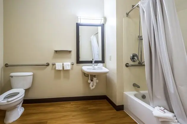 Standard Oda, 2 Çift Kişilik Yatak, Engellilere Uygun (Pet Free, Smoke Free)