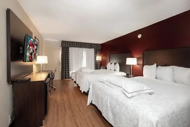 Premium Oda, 2 Büyük (Queen) Boy Yatak (Upgraded Bedding & Snack, Smoke Free)