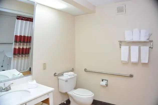 Süit, 1 En Büyük (King) Boy Yatak, Engellilere Uygun (Roll-In Shower, Smoke Free)