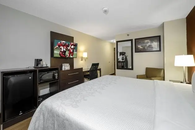 Deluxe Oda, 1 En Büyük (King) Boy Yatak (Smoke Free)