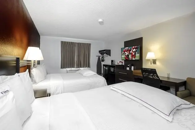 Premium Oda, 2 Büyük (Queen) Boy Yatak (Upgraded Bedding & Snack, Smoke Free)