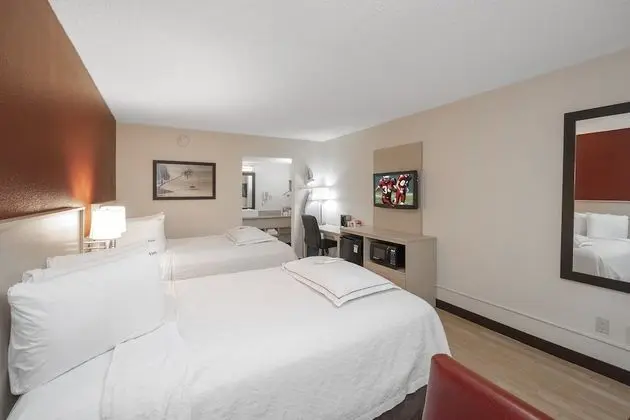 Premium Oda, 2 Çift Kişilik Yatak (Upgraded Bedding & Snack, Smoke Free)