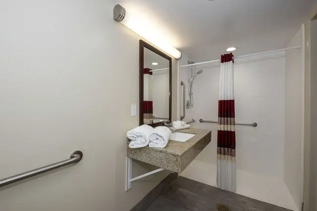 Deluxe Oda, 1 En Büyük (King) Boy Yatak, Engellilere Uygun (Roll-In Shower, Smoke Free)