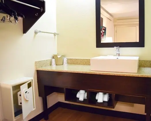 Premium Oda, 1 En Büyük (King) Boy Yatak, Engellilere Uygun (Upgraded Bedding & Snack, Smoke Free)