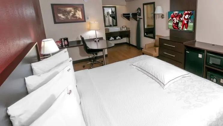 Premium Oda, 1 En Büyük (King) Boy Yatak (Upgraded Bedding & Snack, Smoke Free)