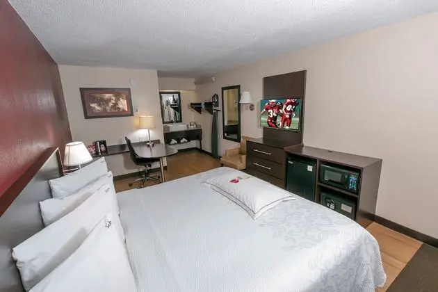 Premium Oda, 1 En Büyük (King) Boy Yatak (Upgraded Bedding & Snack, Smoke Free)