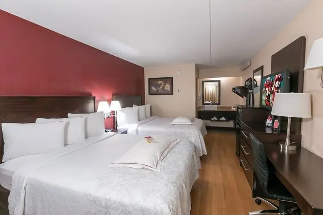 Premium Oda, 2 Çift Kişilik Yatak (Upgraded Bedding & Snack, Smoke Free)