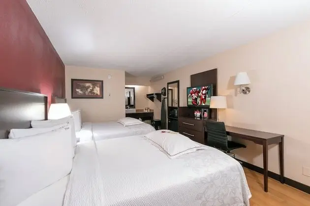 Premium Oda, 2 Çift Kişilik Yatak (Upgraded Bedding & Snack, Smoke Free)