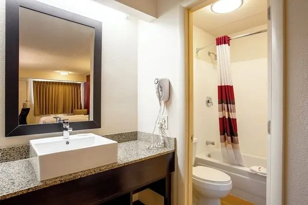 Premium Oda, 2 Çift Kişilik Yatak (Upgraded Bedding & Snack, Smoke Free)