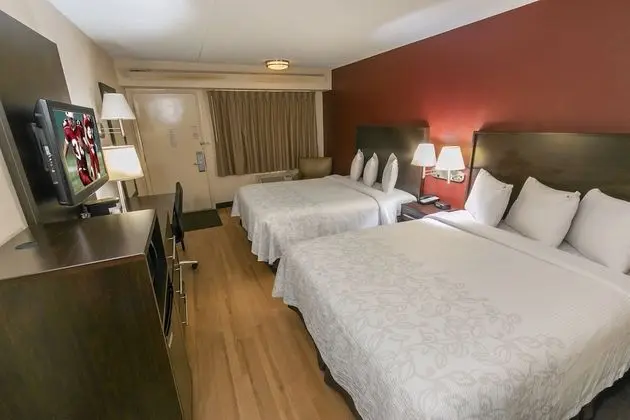 Premium Oda, 2 Çift Kişilik Yatak (Upgraded Bedding & Snack, Smoke Free)
