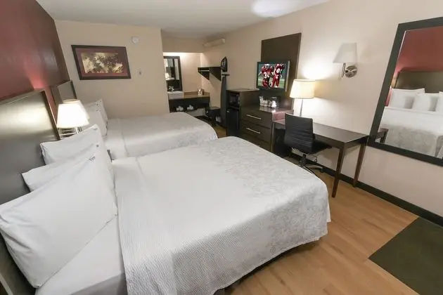 Premium Oda, 2 Çift Kişilik Yatak (Upgraded Bedding & Snack, Smoke Free)